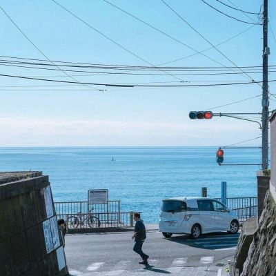 男子上山采菌遭黑熊袭击